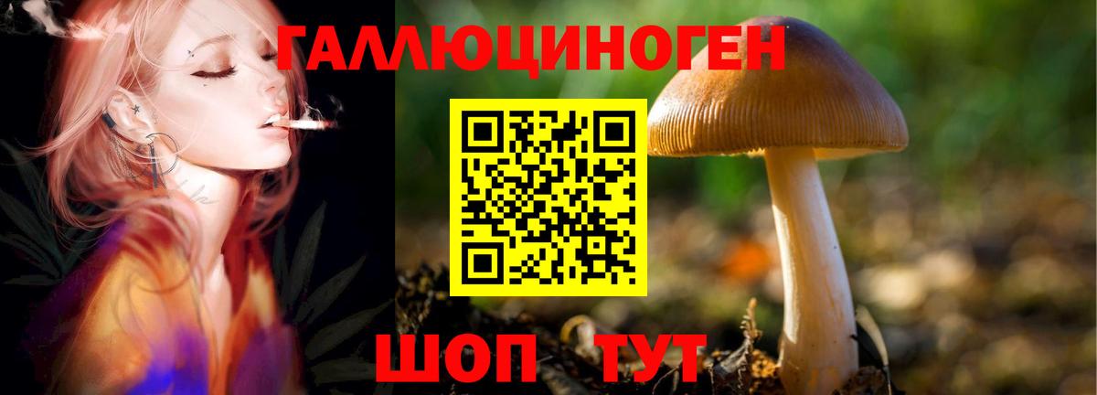 Галлюциногенные грибы мицелий  Вход с VPN  Прокопьевск 